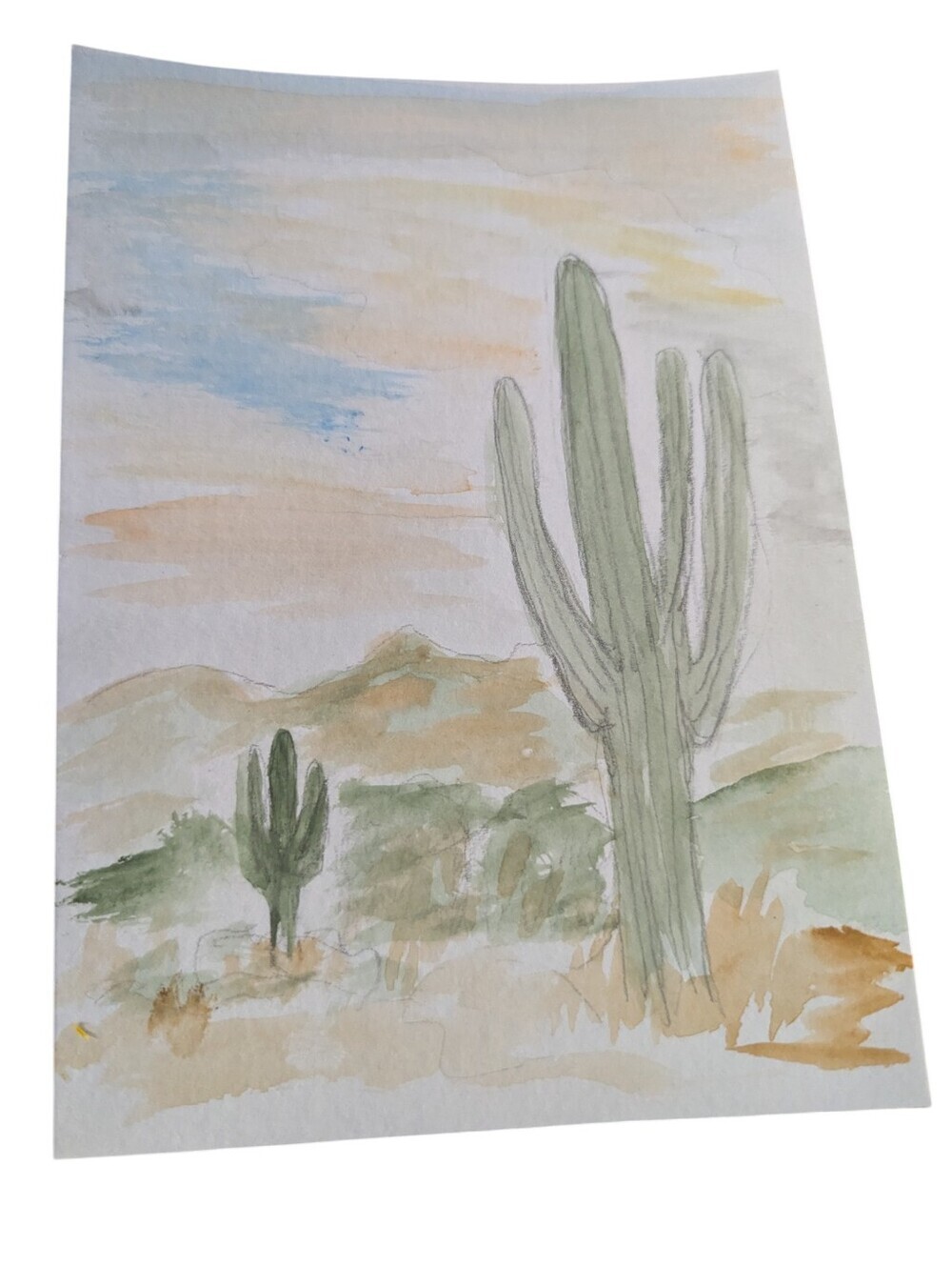 Original Cactus 🌵 watercolor,5'x7